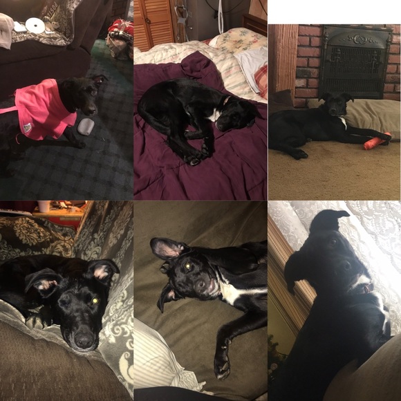 Helping my baby🐾💞 - Picture 3 of 8